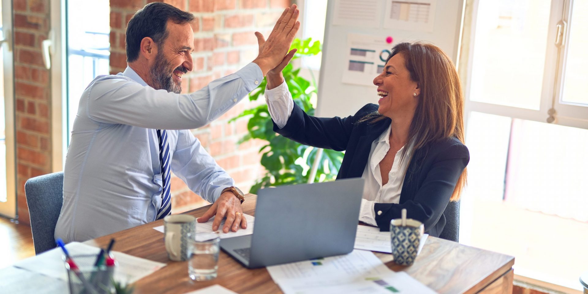 Business Advisor Business Coach
